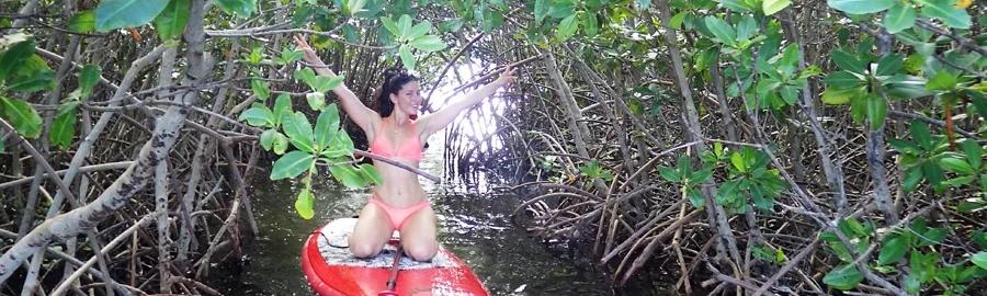 Randonnée Mangrove et îlet en Paddle