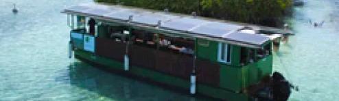 Eco-tour – Mangroves and islets by solar-powered electric boat – Sunset