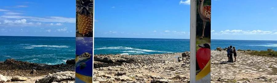 Discovering Antigua and its flavours – Tour and meal package