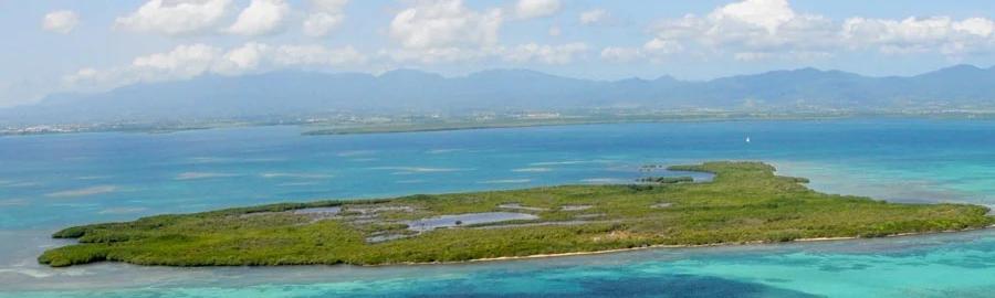 Mangrove, large marine cove, coral reef, sandy headland