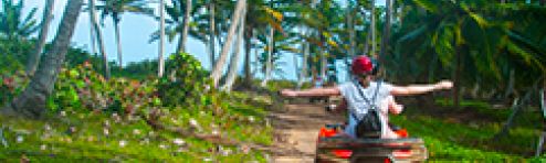 Buggy Tours from Port Louis