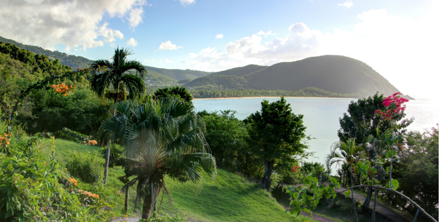 The volcanic and lush landscape of Basse-Terre, Guadeloupe