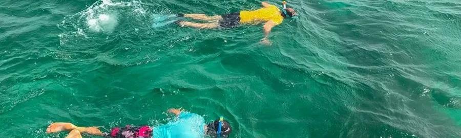 Immersion Grand Cul-de-Sac Marin – Mangrove, Îlets & snorkeling - Demi-journée