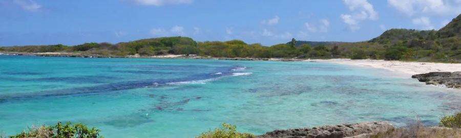 A tour of Guadeloupe in a 4x4