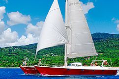 Catamaran trip, Cousteau Reserve
