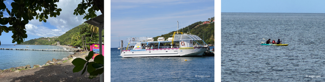 Snorkelling at the Cousteau Reserve
