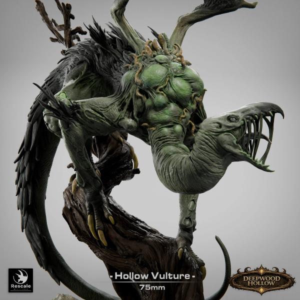 Hollow Vulture