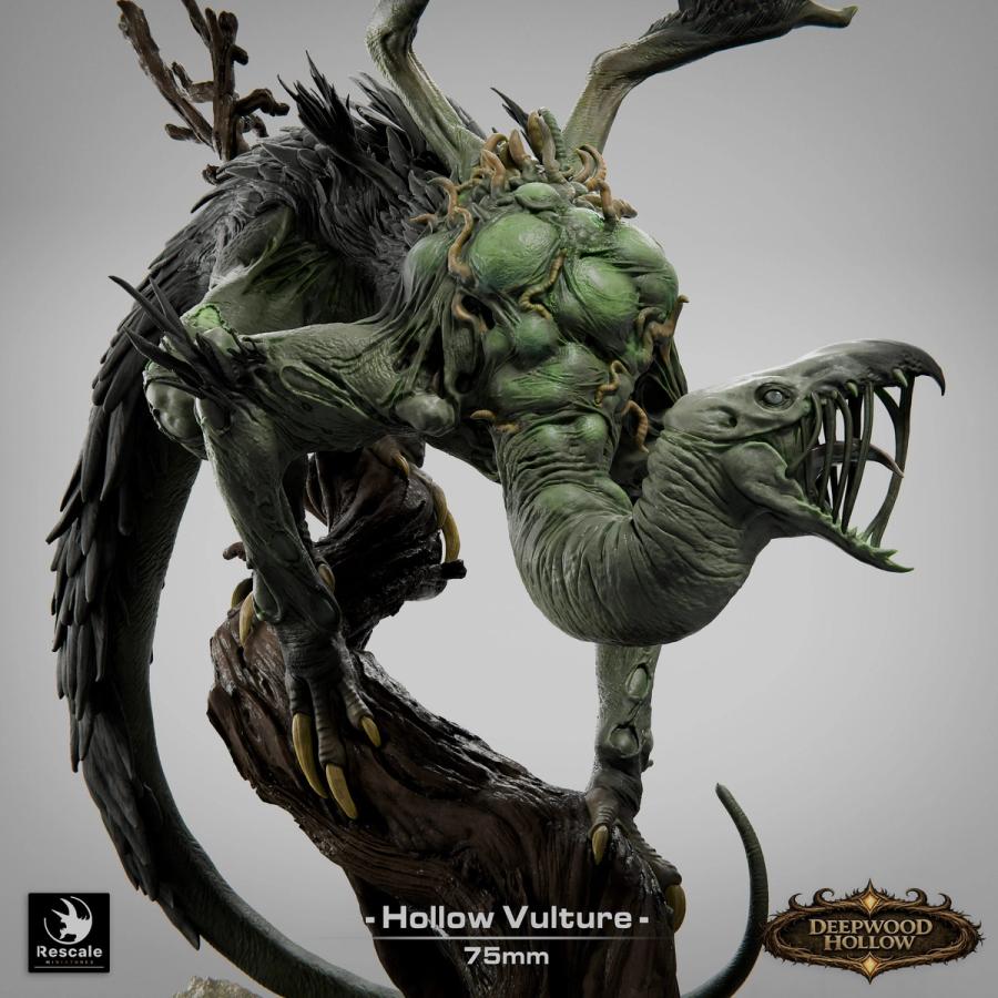 Hollow Vulture - immagine 3