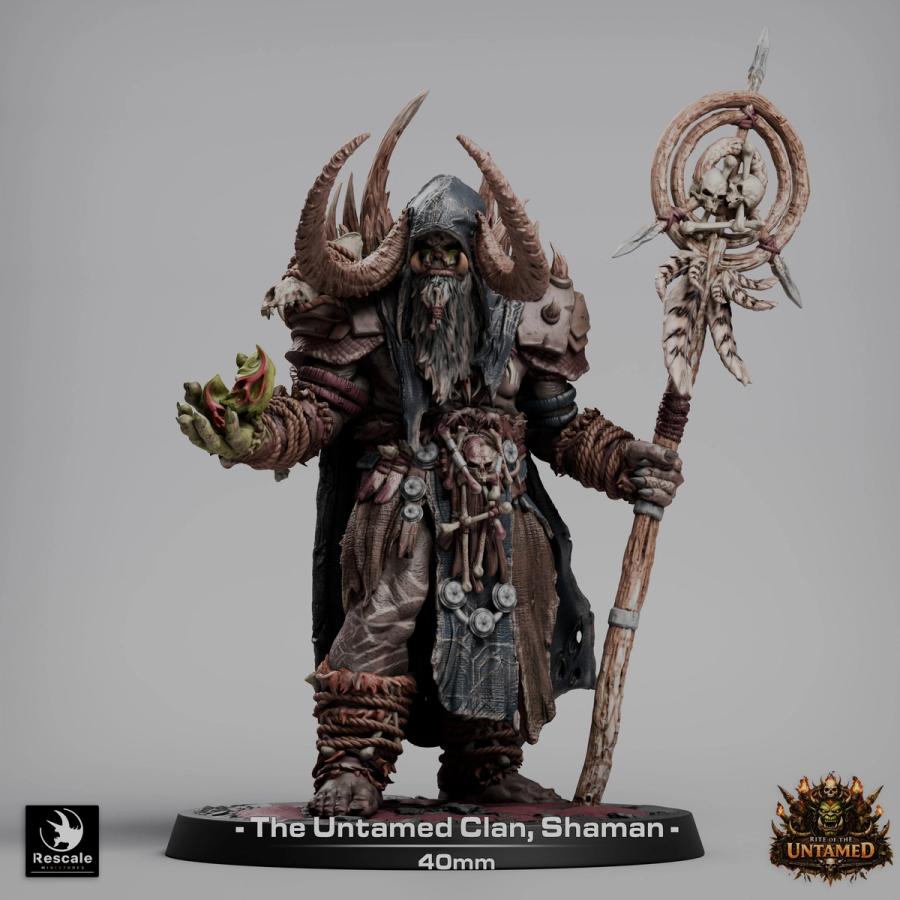 Clan Shaman - immagine 6