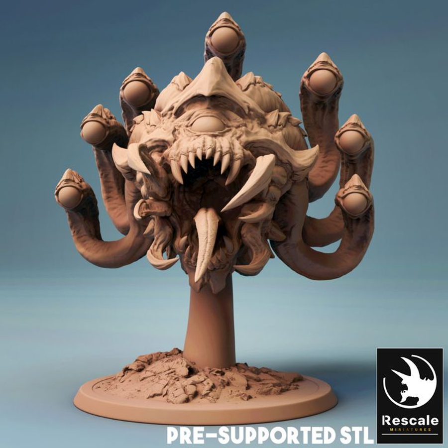 Beholder - immagine 1