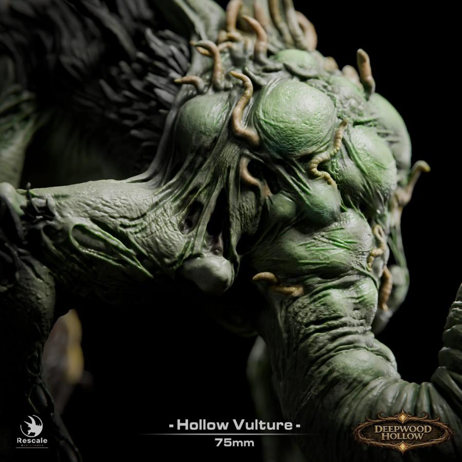 Hollow Vulture - immagine 8