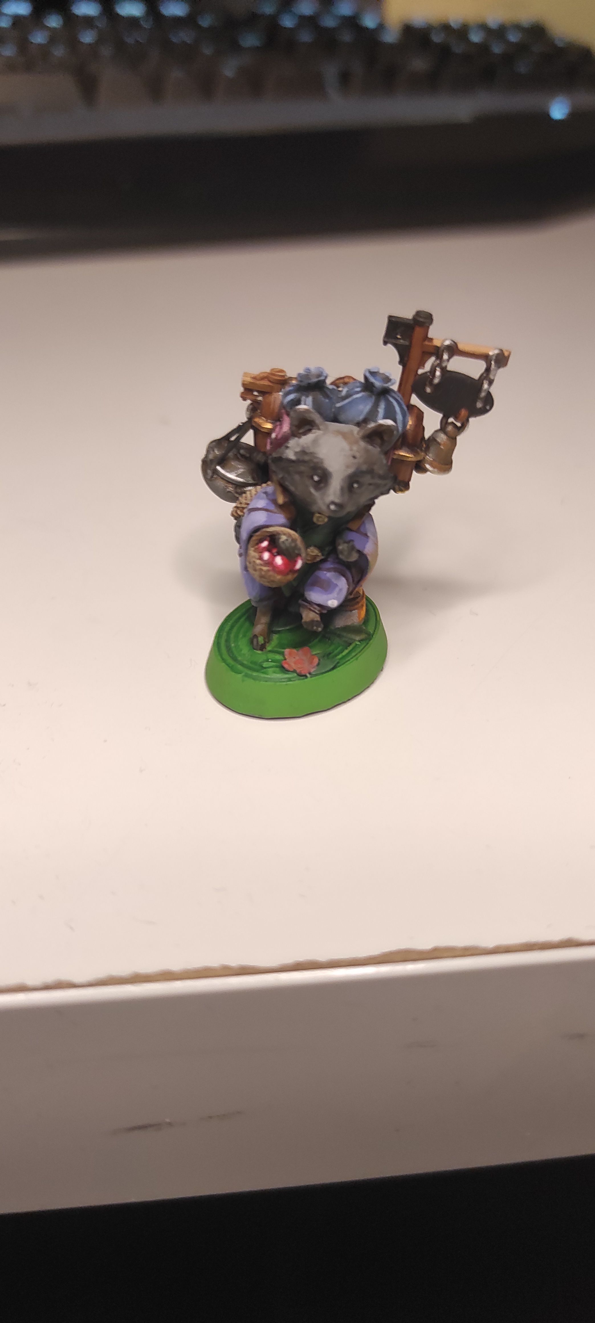 Mage Raccoon - Forest Traveller 
