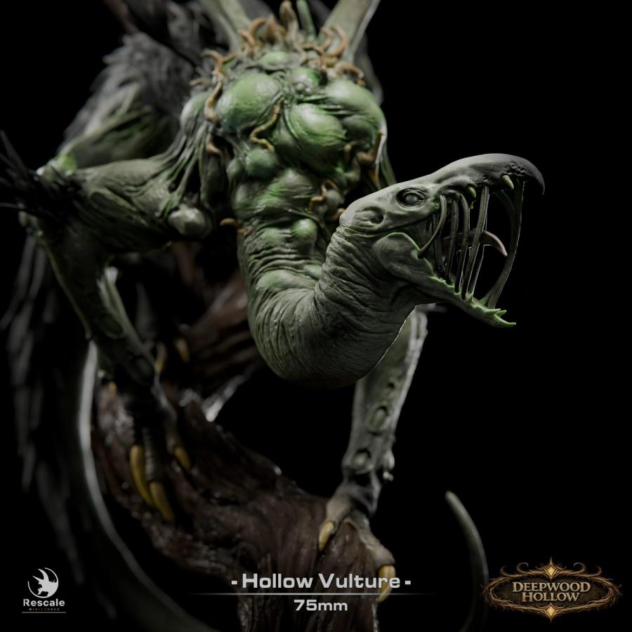 Hollow Vulture - immagine 7