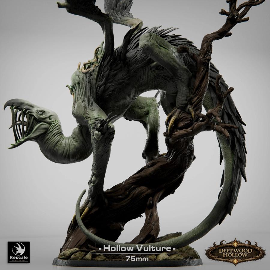 Hollow Vulture - immagine 6