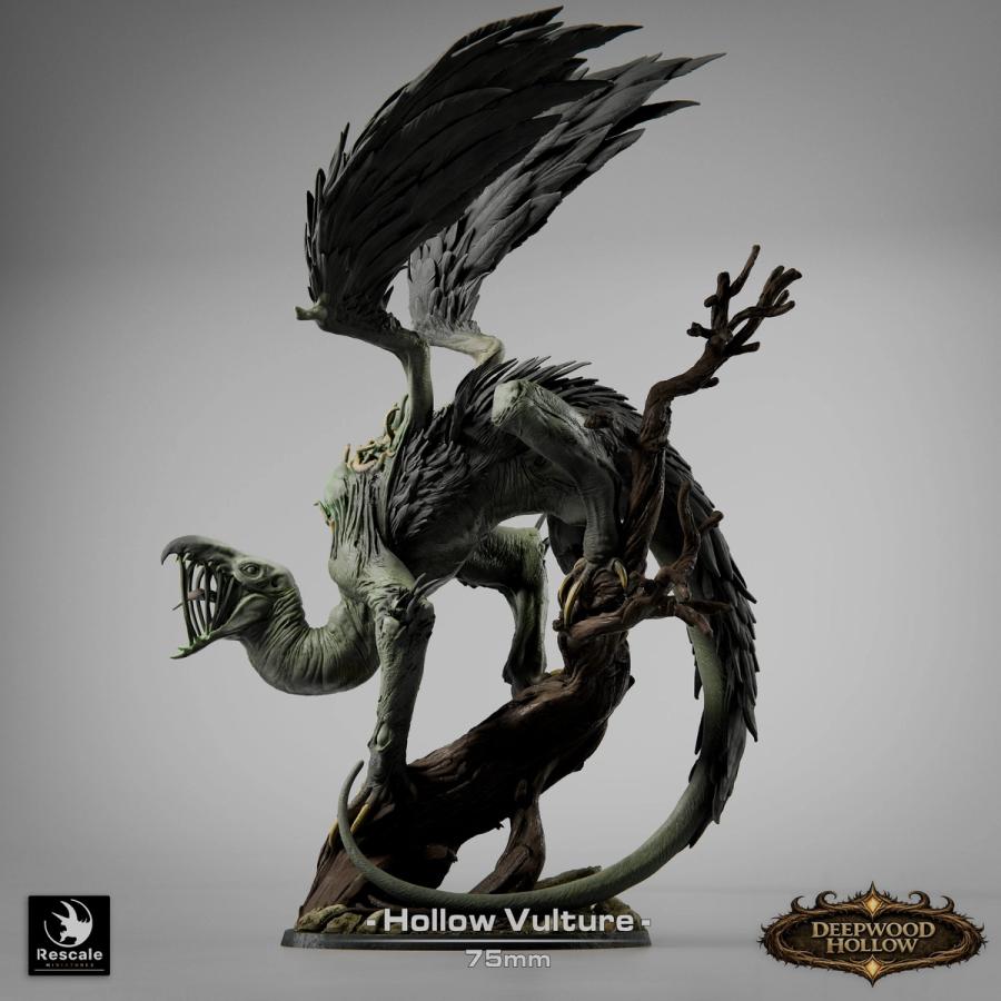 Hollow Vulture - immagine 4