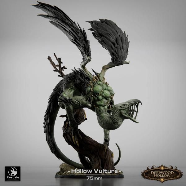 Hollow Vulture