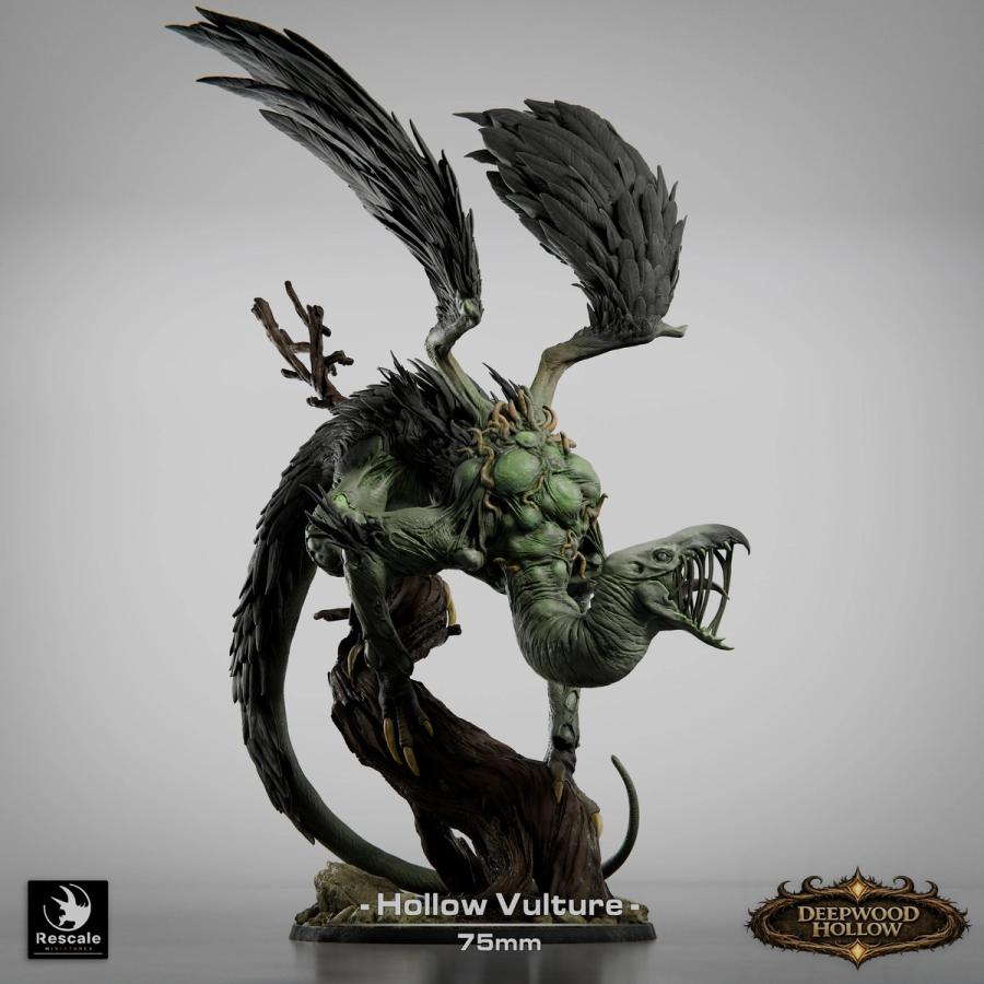 Hollow Vulture - immagine 1