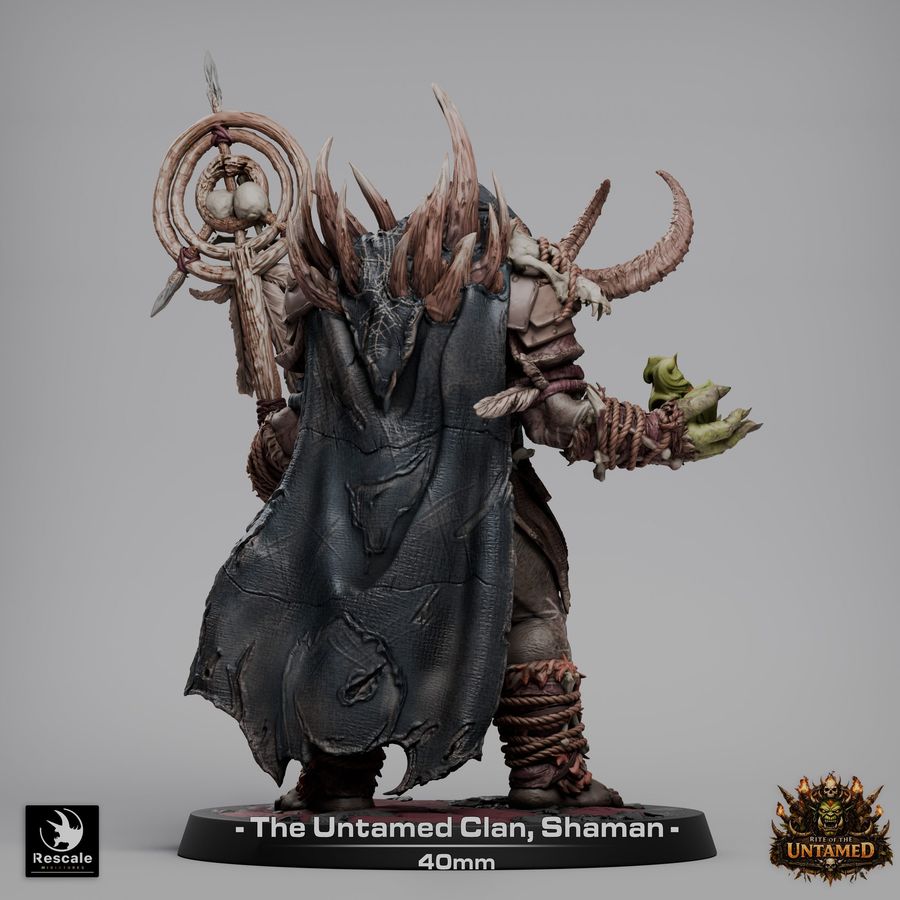 Clan Shaman - immagine 7