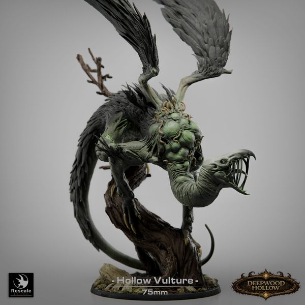 Hollow Vulture