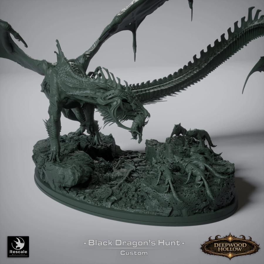 Black Dragon Hunt - immagine 9