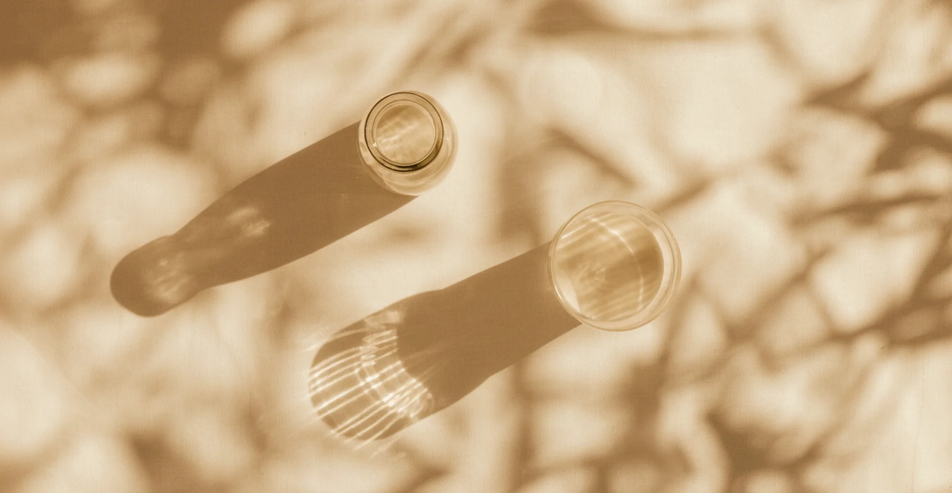 Top-down view of a bottle and glass with shadows of branches falling across them