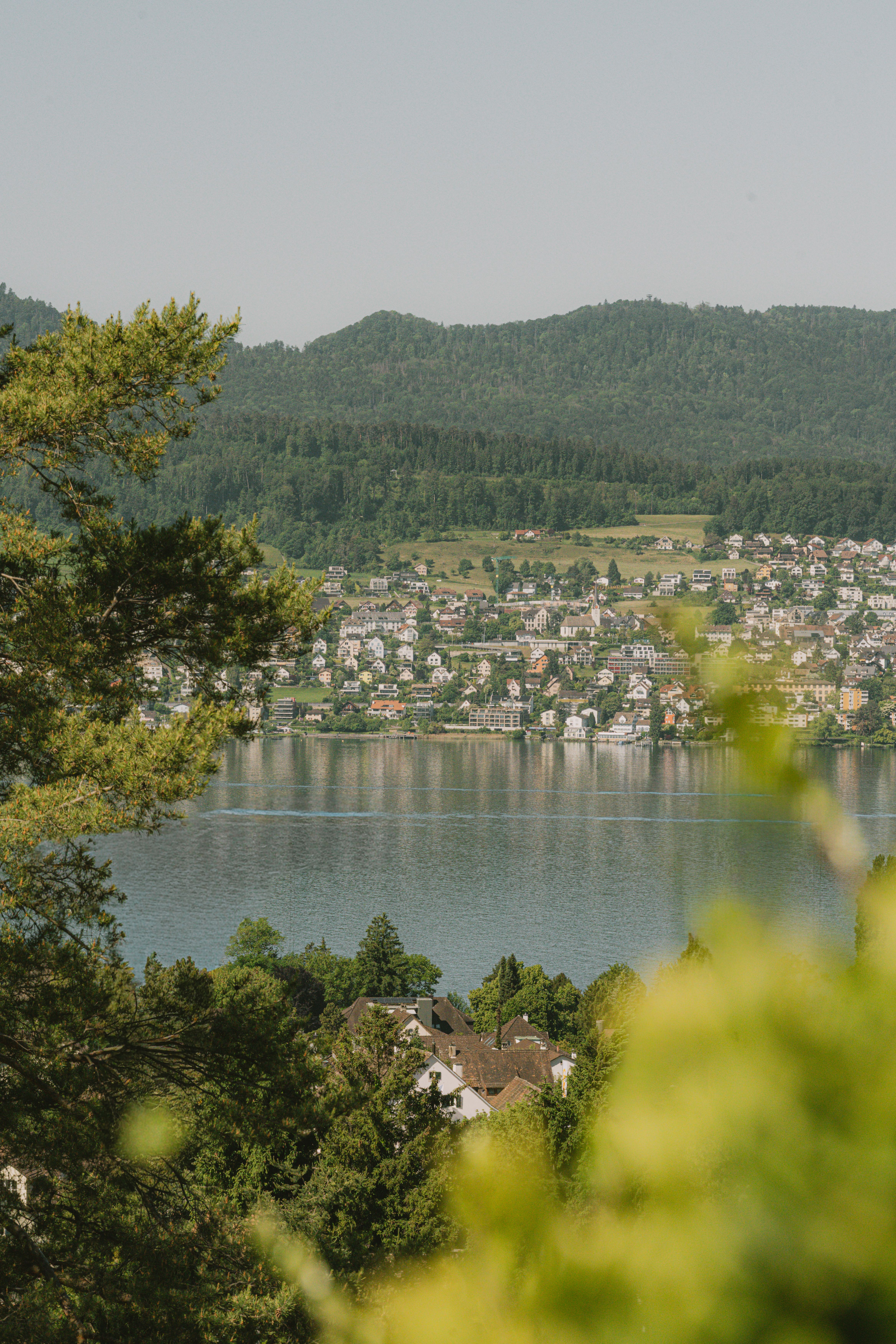 View Lake Zurich