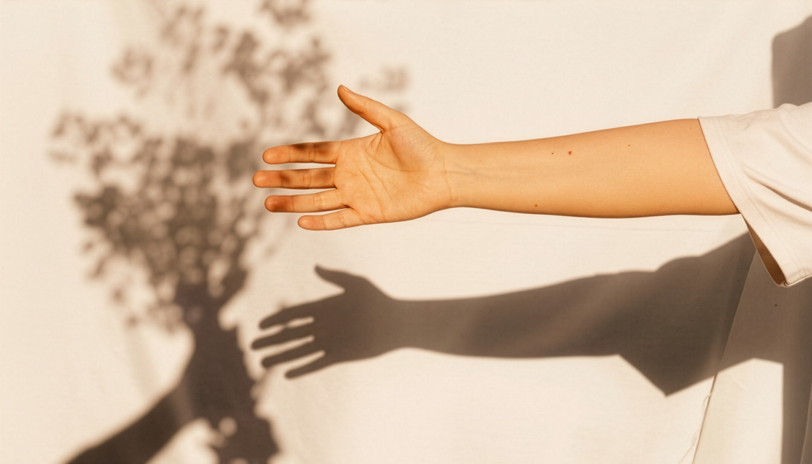 Hand reaching out to the shadow of flowers