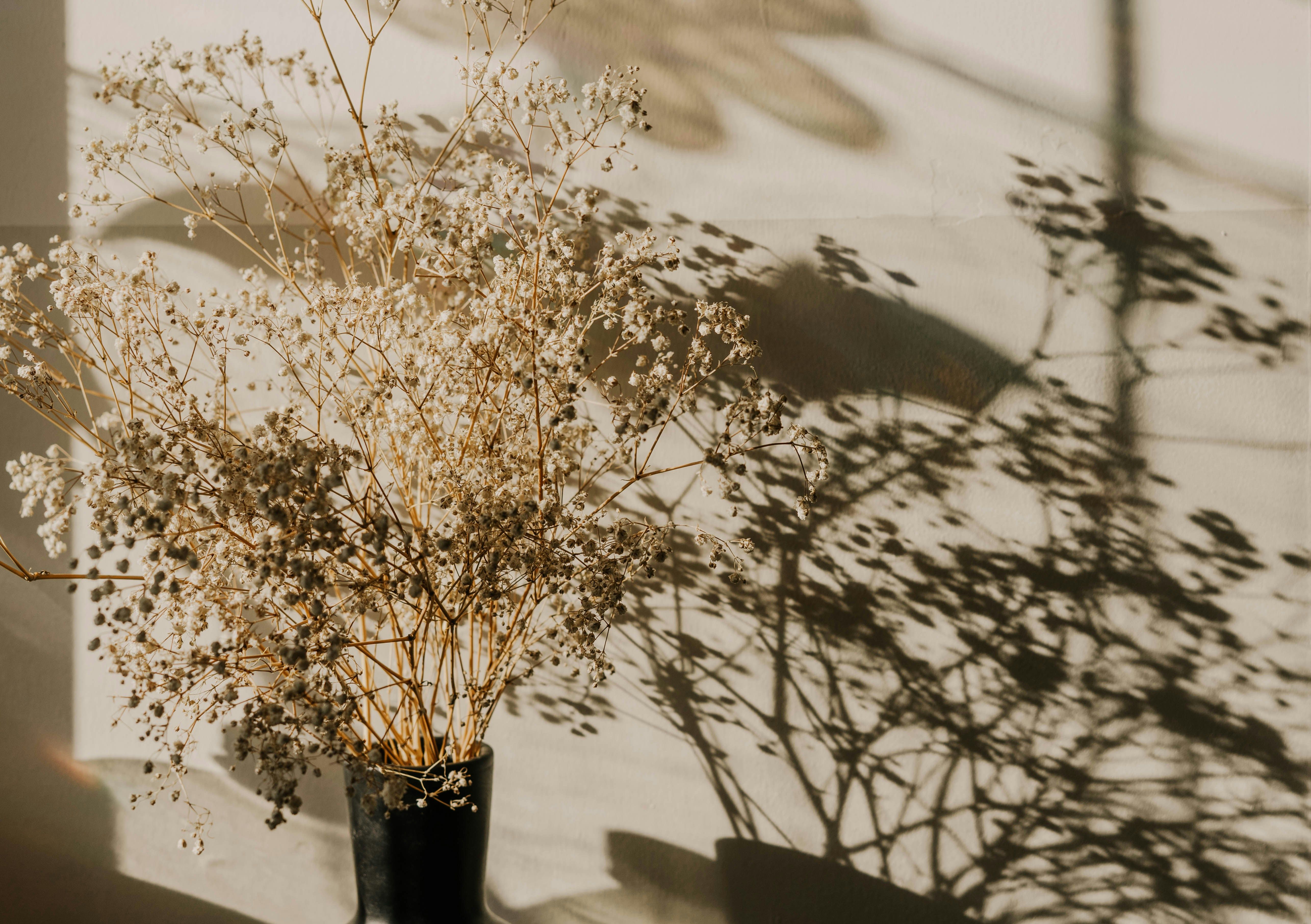 Dried flowers in a vase
