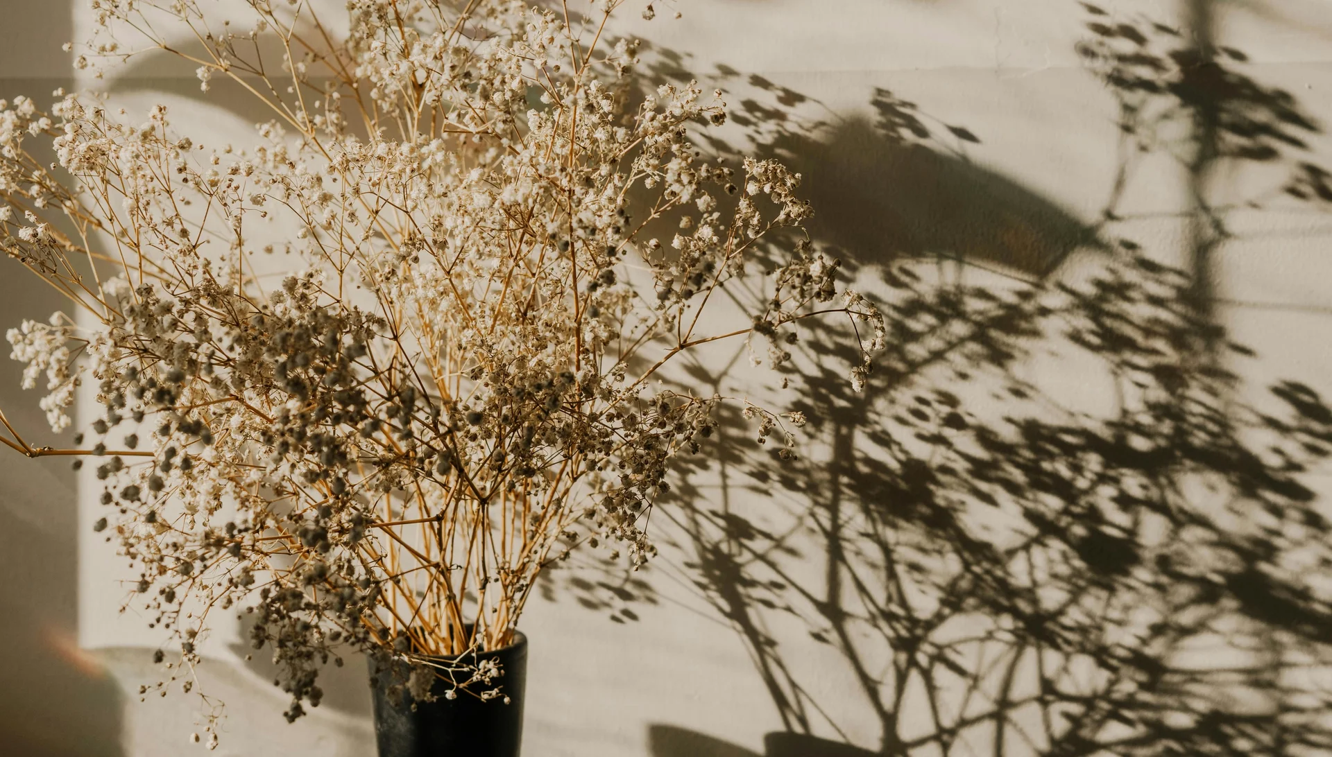Dried flowers in a vase