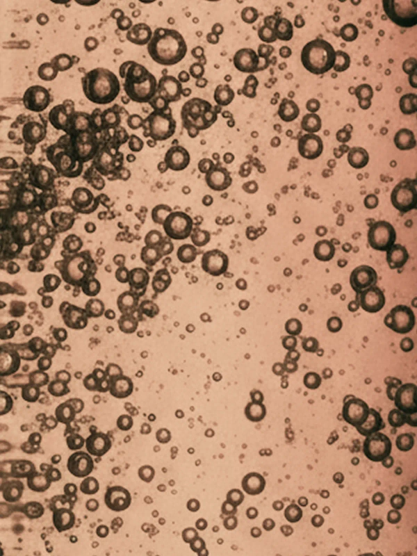 Bubbles scattered in a cup - Amplify & Transform