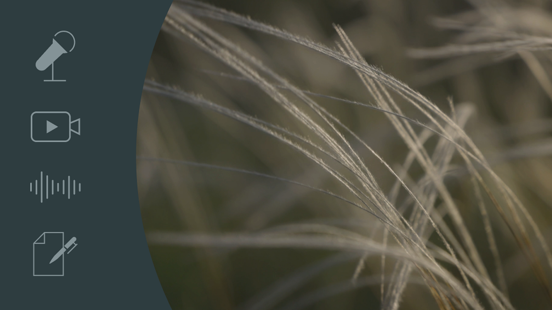 Featured image for Breaking the habit: insights into overcoming nicotine addiction. interview with margje de rooij, a relapse prevention specialist