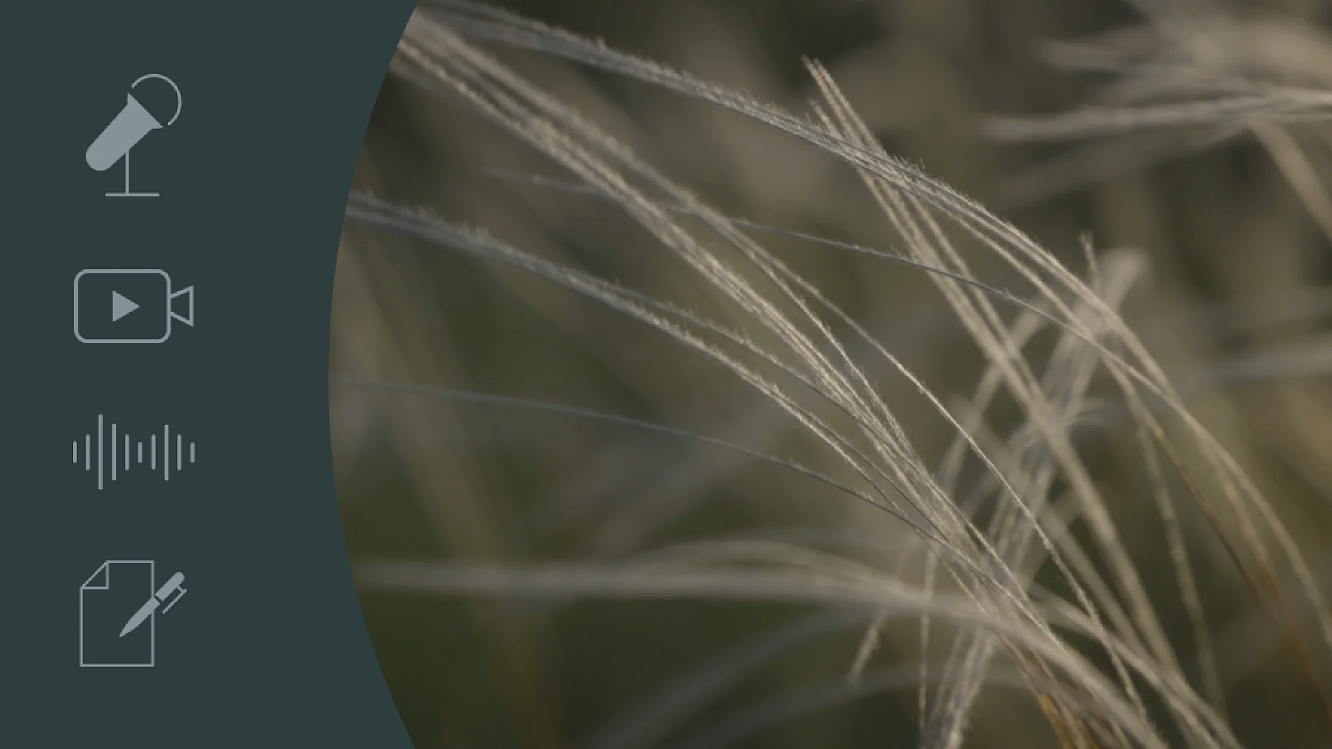 Breaking the habit_cover