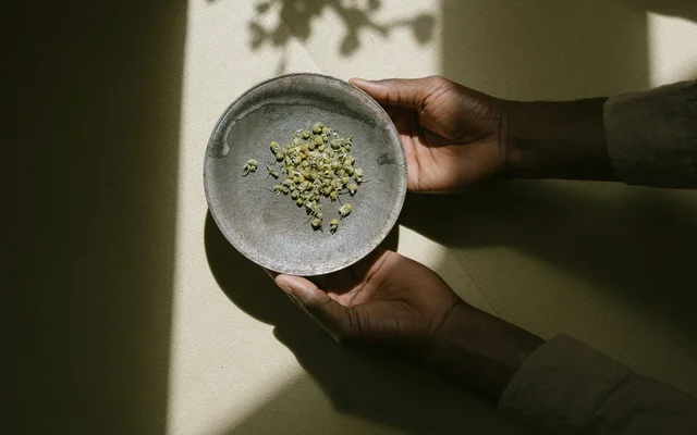 hands gently hold a dark, textured bowl filled with dried chamomile flowers