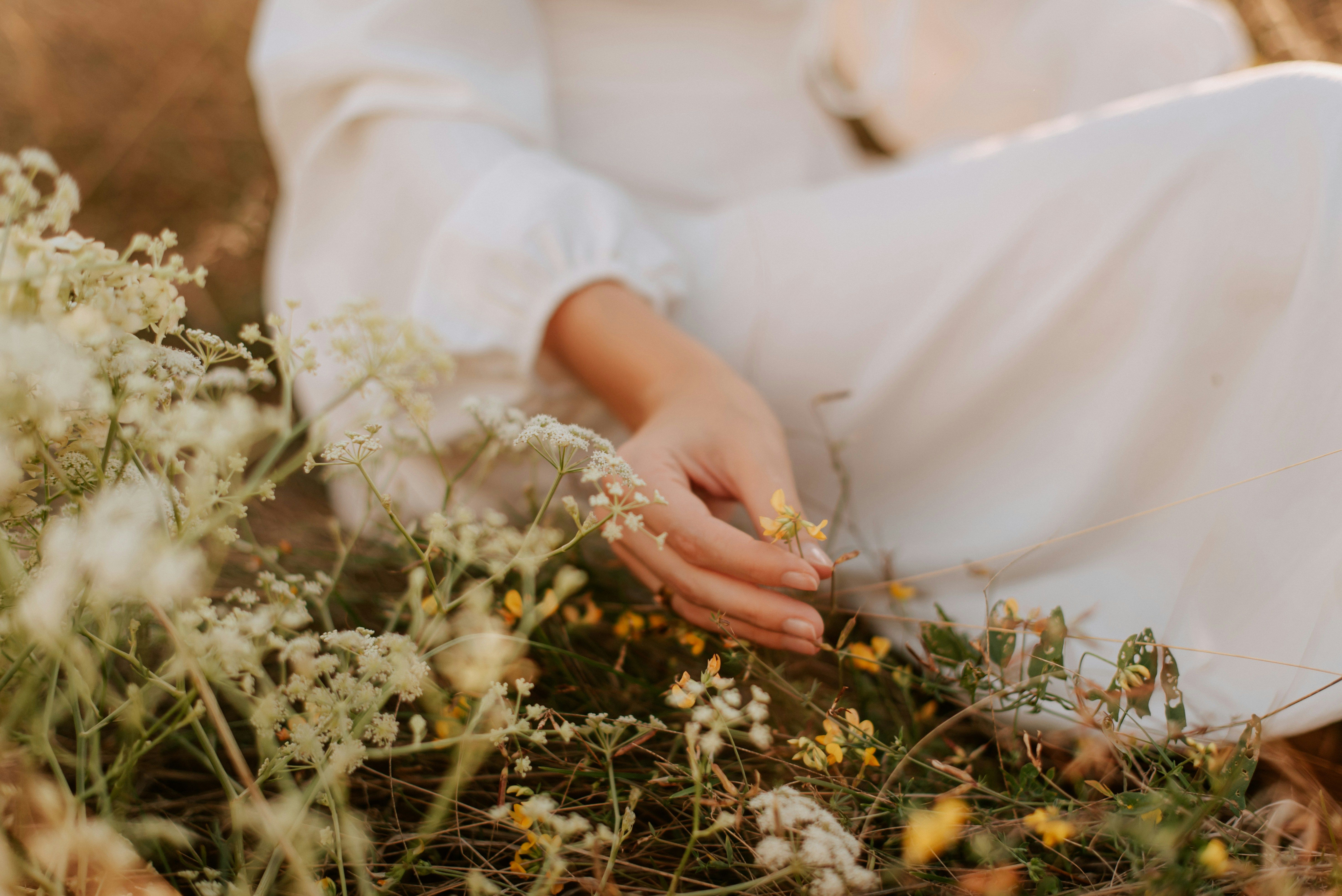 Hand of a woman in a white dress in focus, sitting in a meadow and touching a wildflower