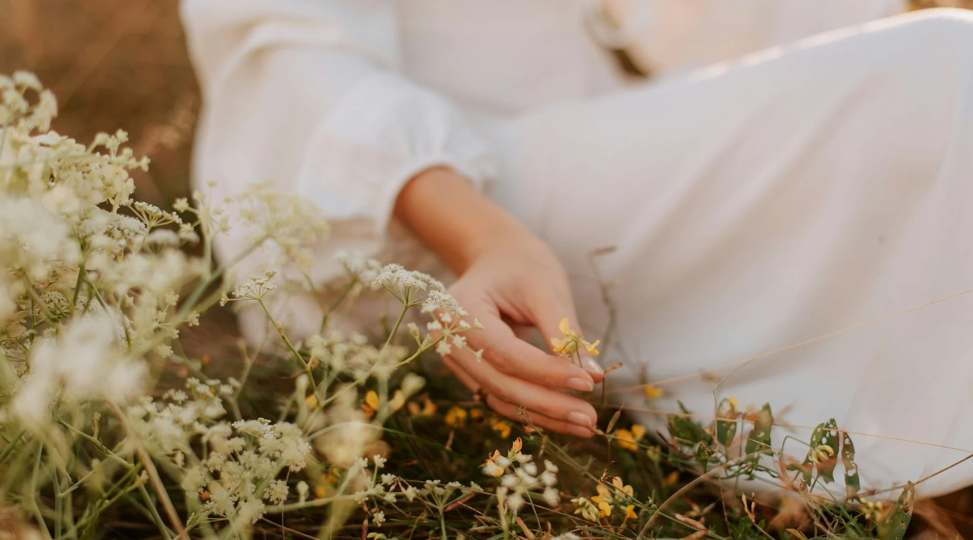 Hand of a woman in a white dress in focus, sitting in a meadow and touching a wildflower