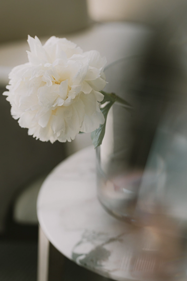 Flower in a vase