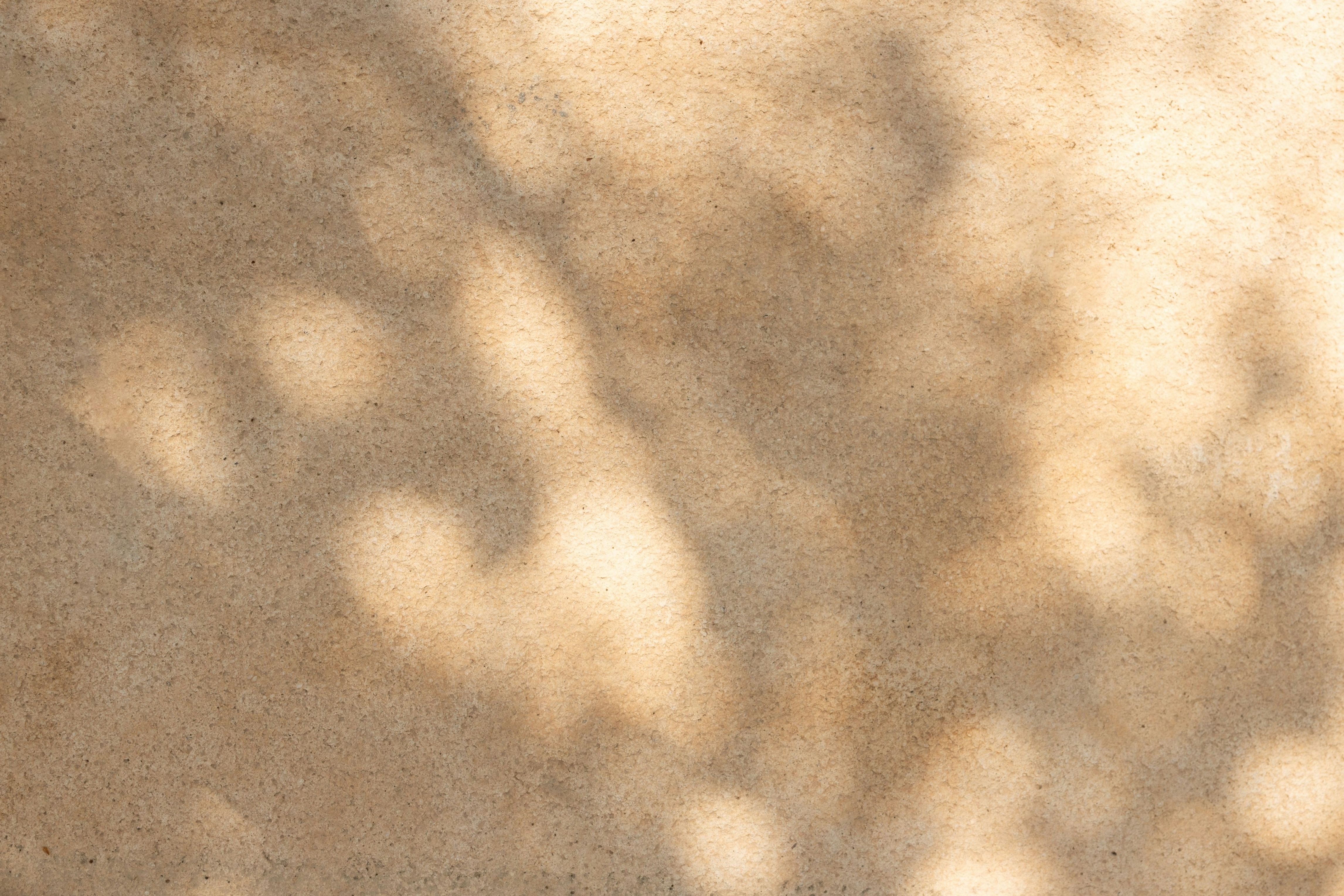 Shadows of a few branches