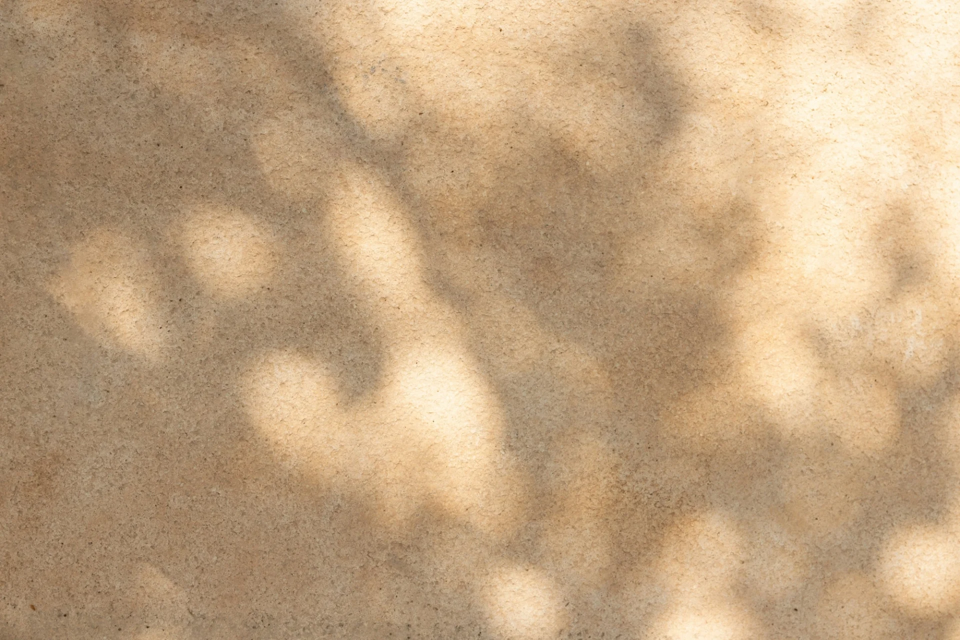 Shadows of a few branches