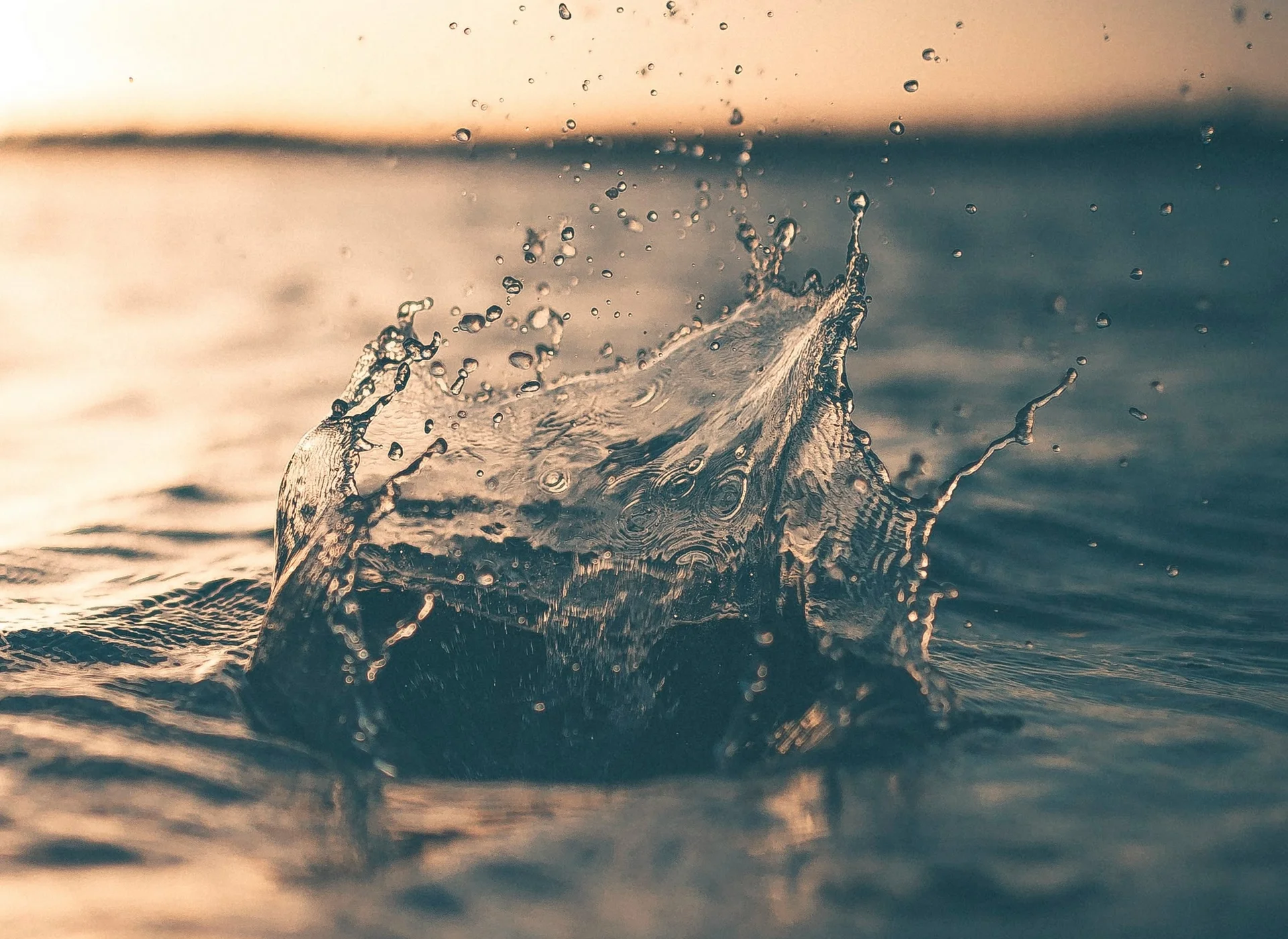 Water droplet splashing on the surface as the golden sun shines