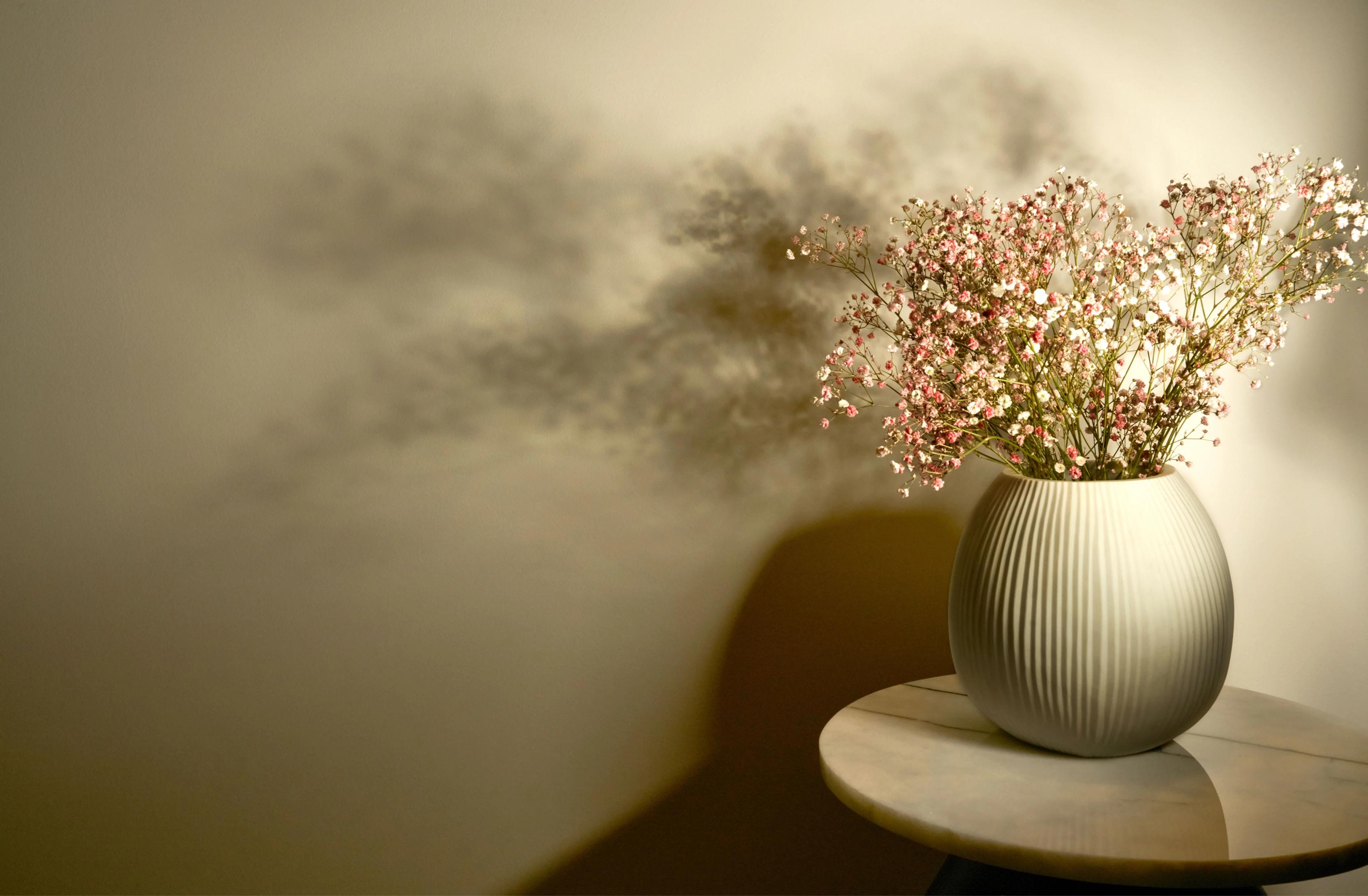 vase with soft shadows 