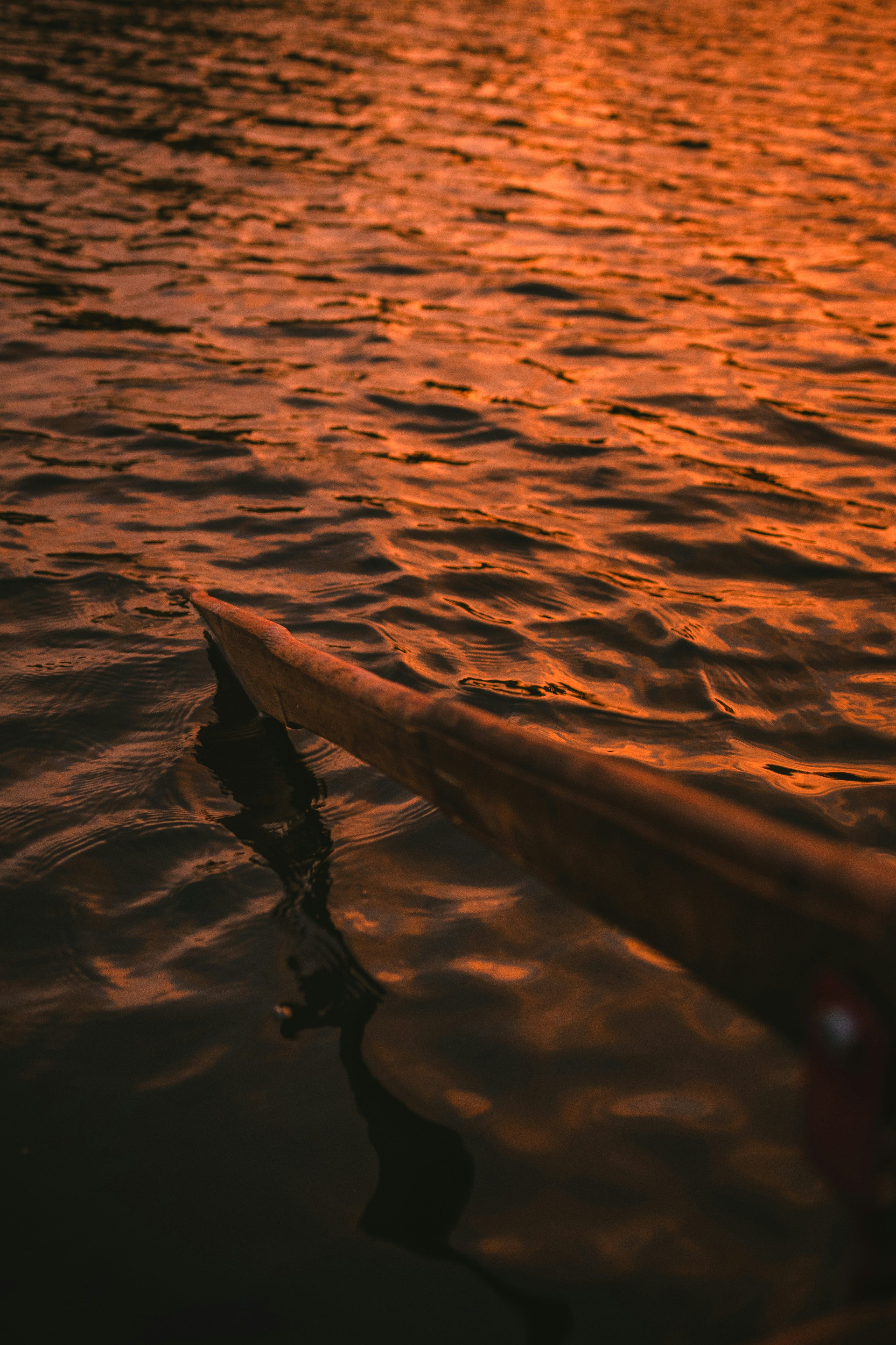 Wooden oar in rippling water, light from the setting sun coming in from the upper right