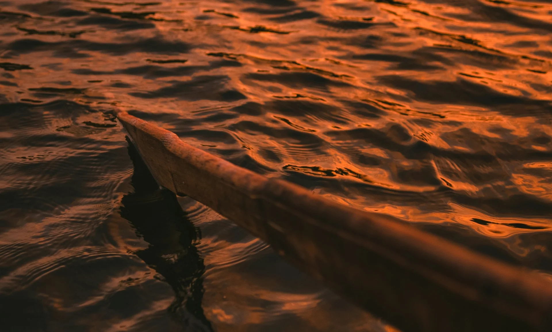 Wooden oar in rippling water, light from the setting sun coming in from the upper right
