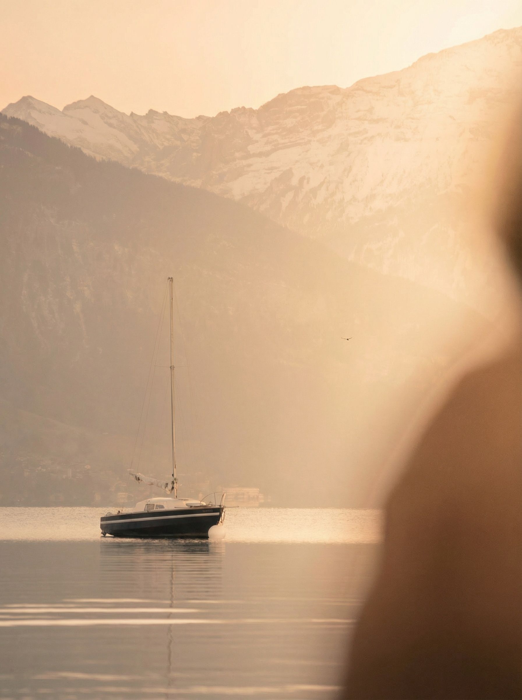 A person looking at a lake