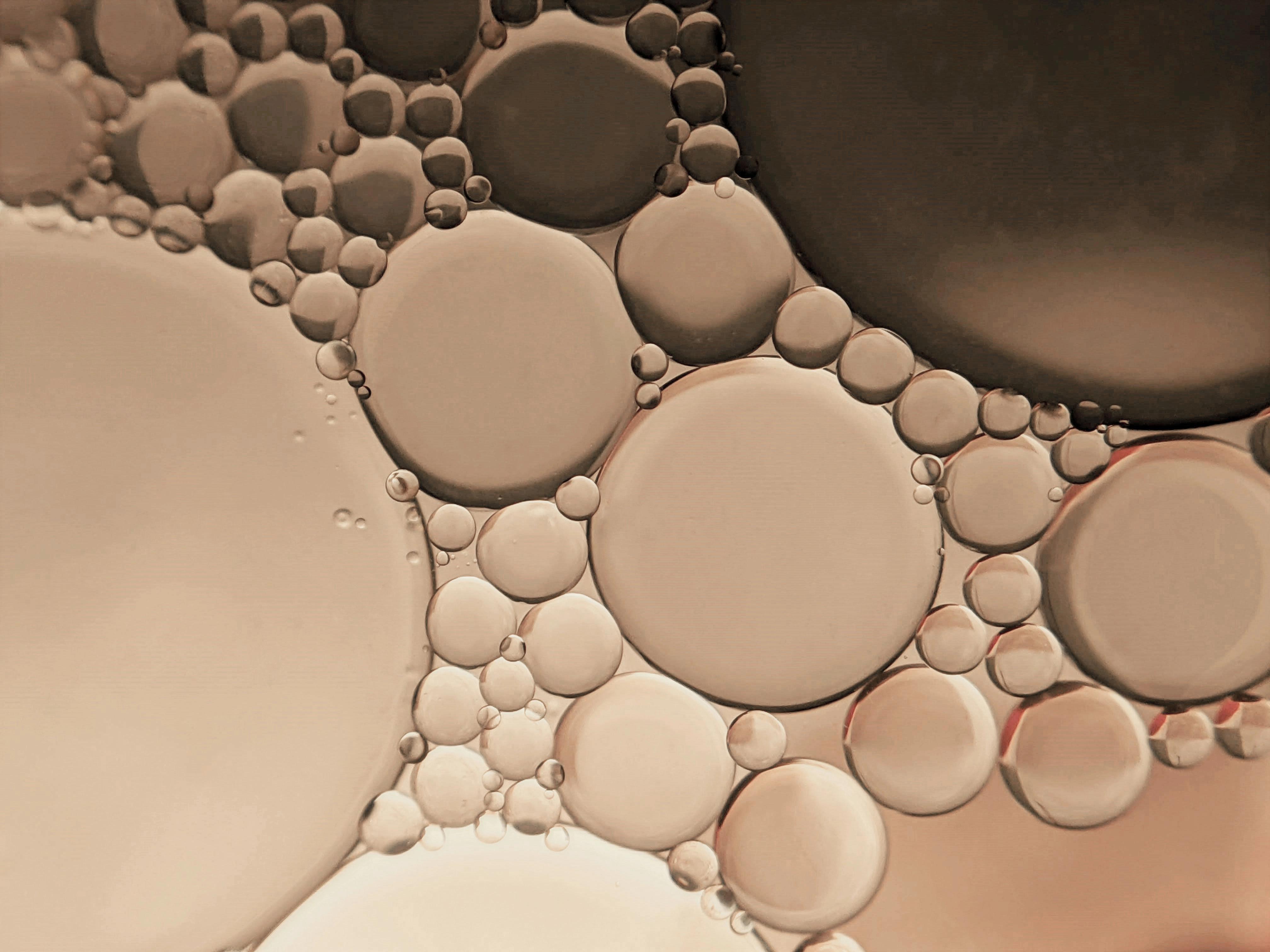 Abstract image of translucent, round bubbles in varying sizes, BIO-R