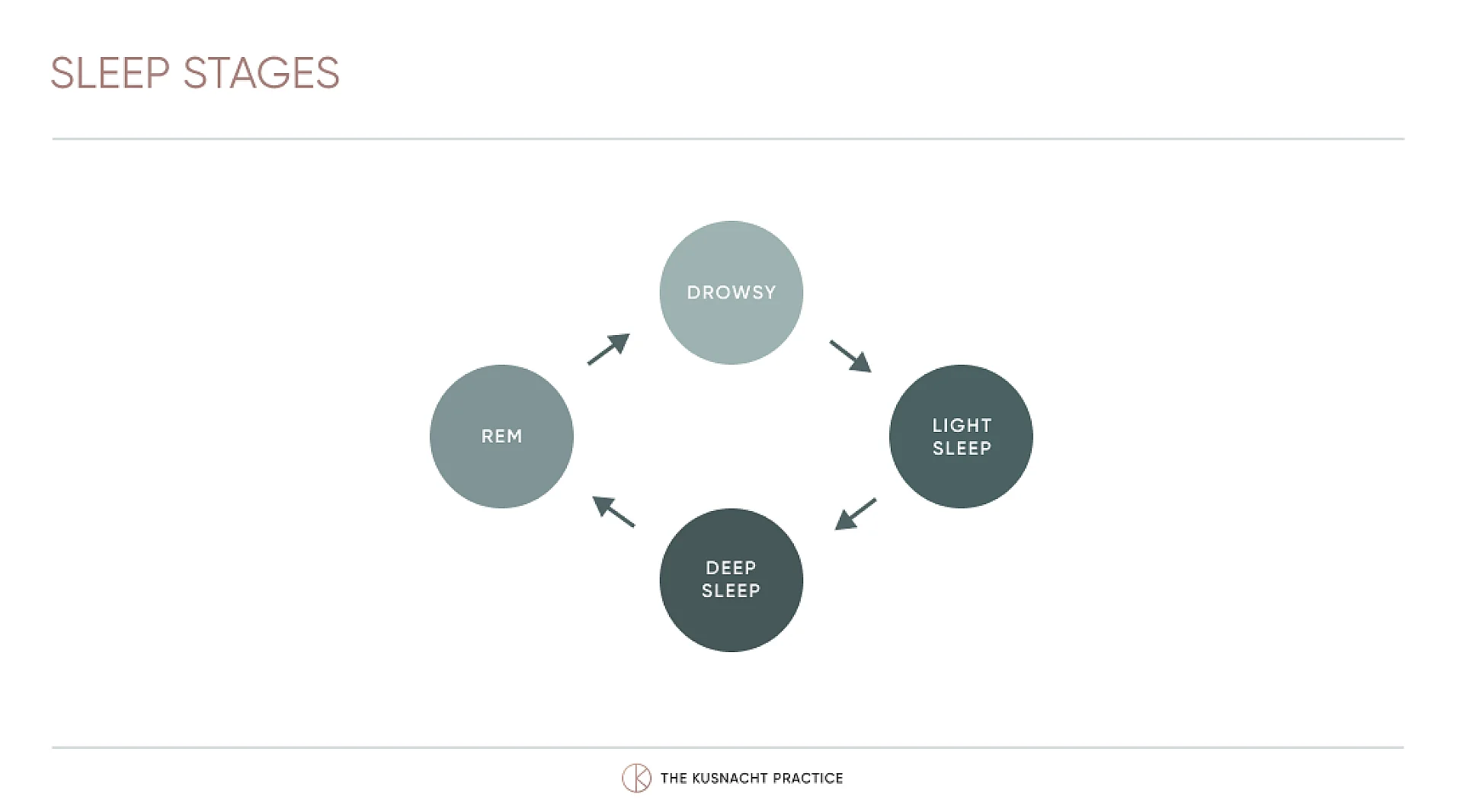 SLEEP STAGES Infographic