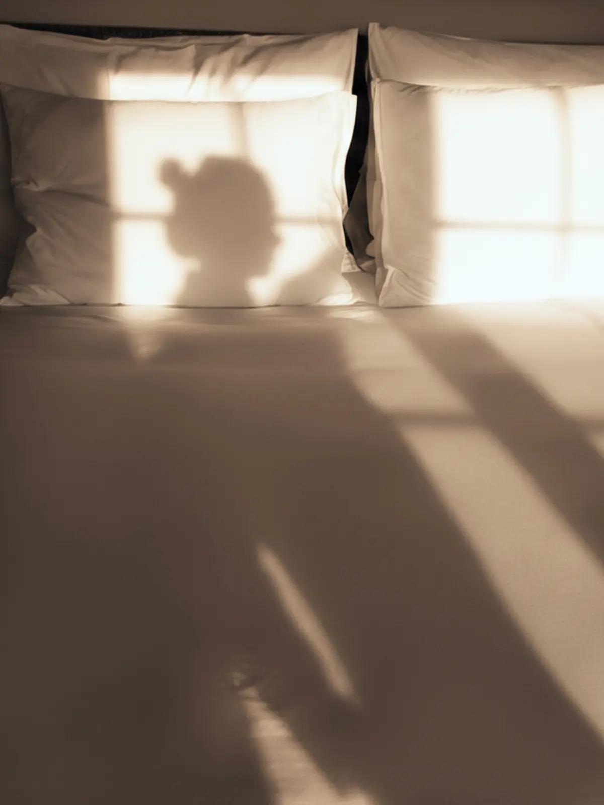 Clear silhouette of a person's head and window shadows on a sunlit bed.