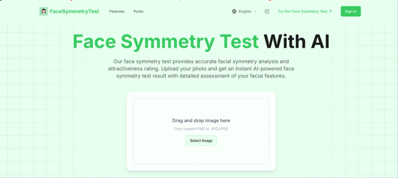 image of Face Symmetry Test