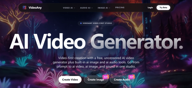 image of VideoAny image of VideoAny