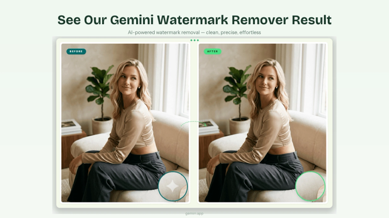 image of Gemini Watermark Remover Free