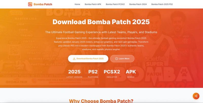 image of bomba patch